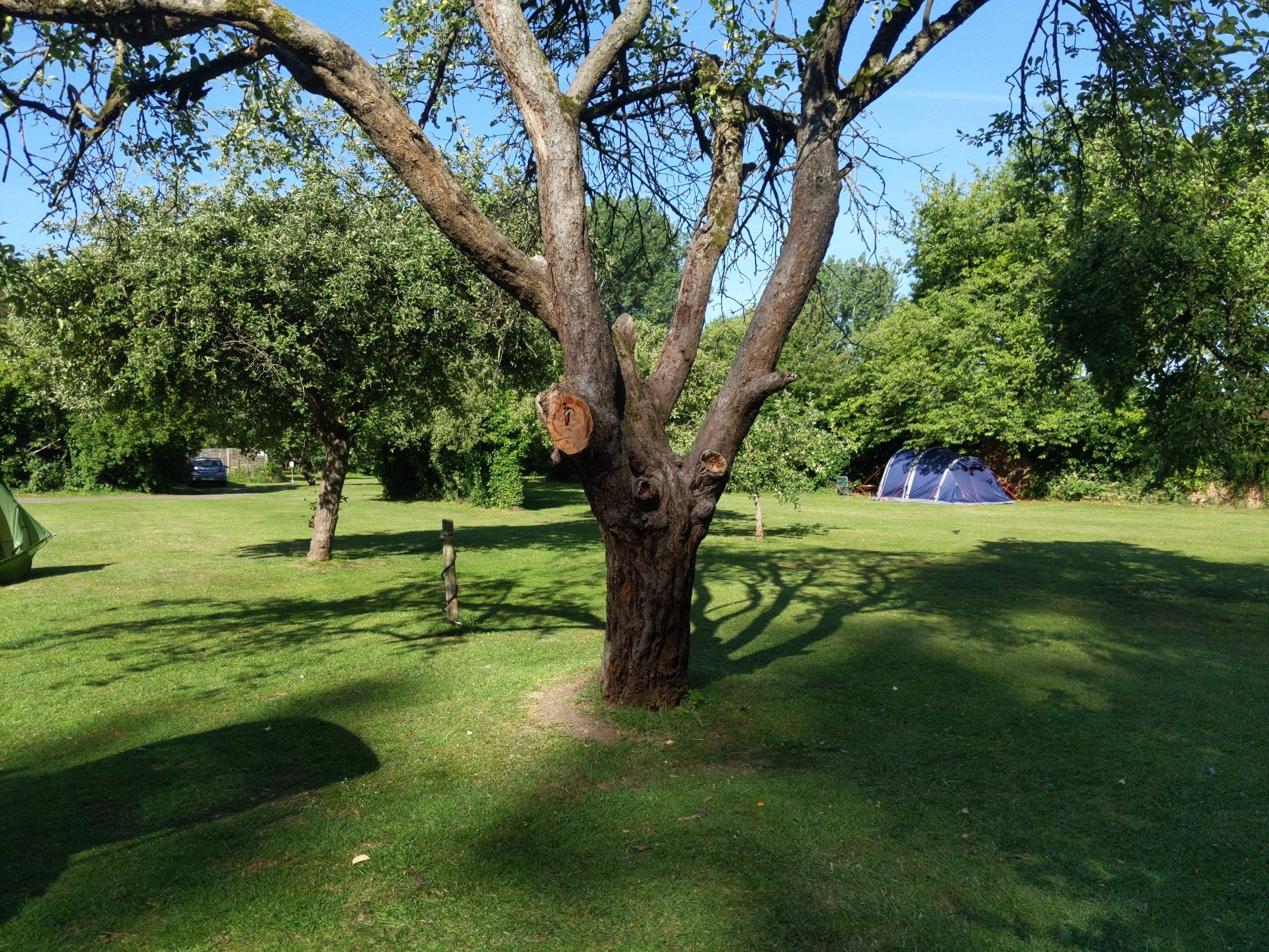 Radwell Lake campsite - 12