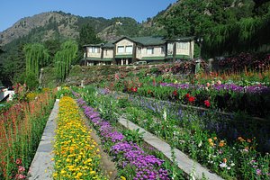 Shervani Hilltop Nainital in Nainital, image may contain: Garden, Resort, Hotel, Cottage