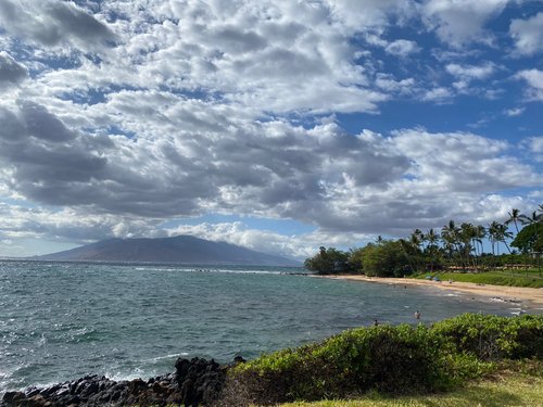 Maui Michelle C review images