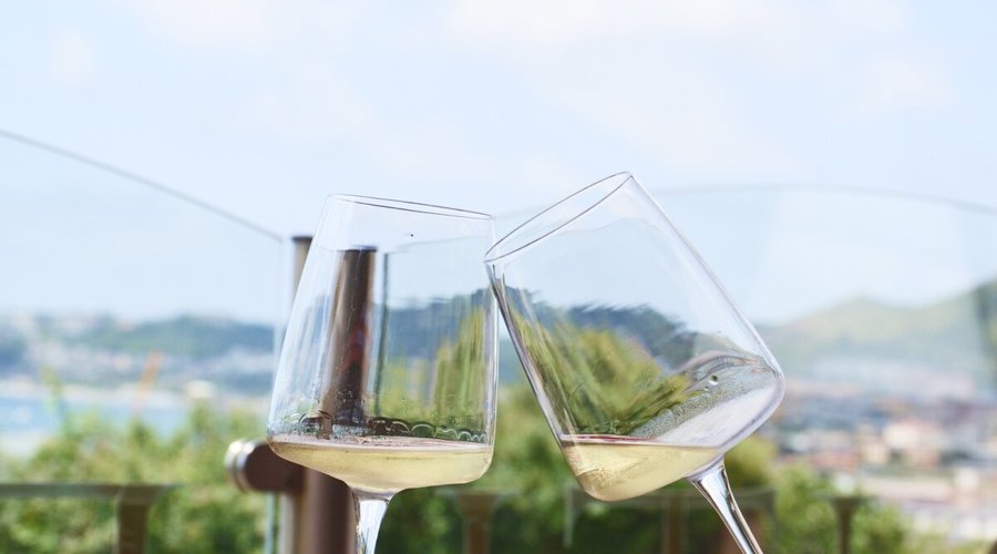 Panorama & Wine