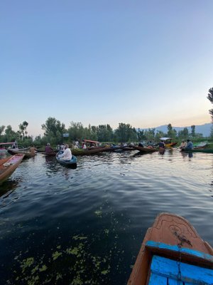 House Boat Wild Rose in Srinagar