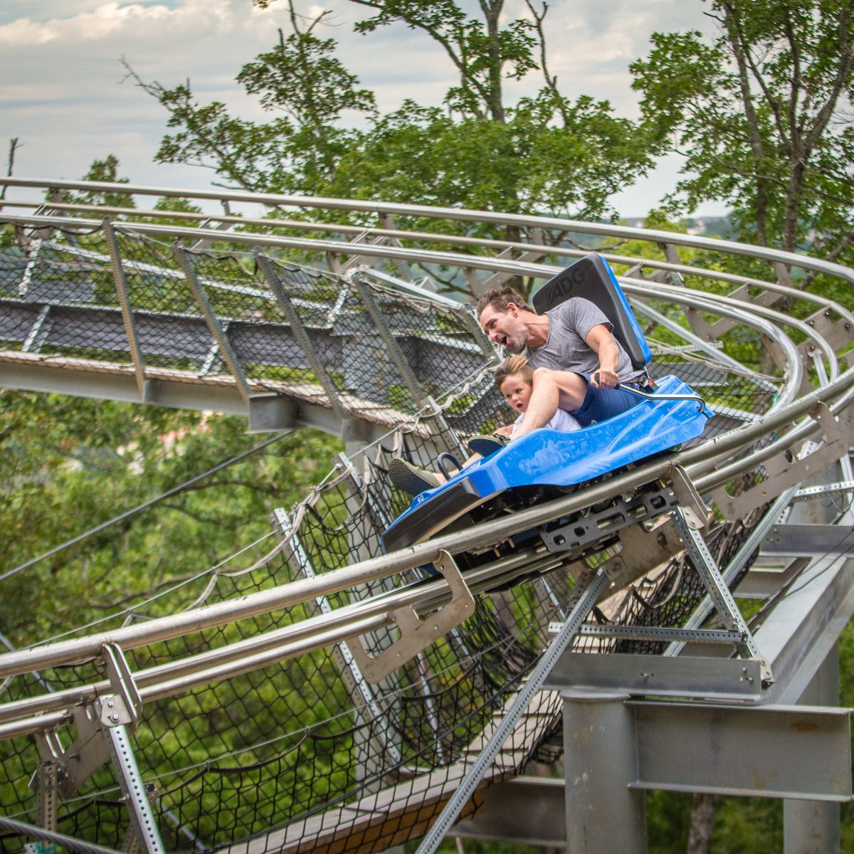 Mountain Coaster