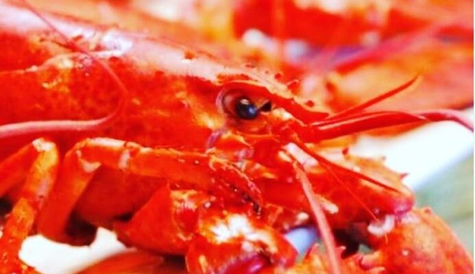 Starting tonight, every Wednesday for $49.00 full lobster with salad and choice of veggies or pasta. 