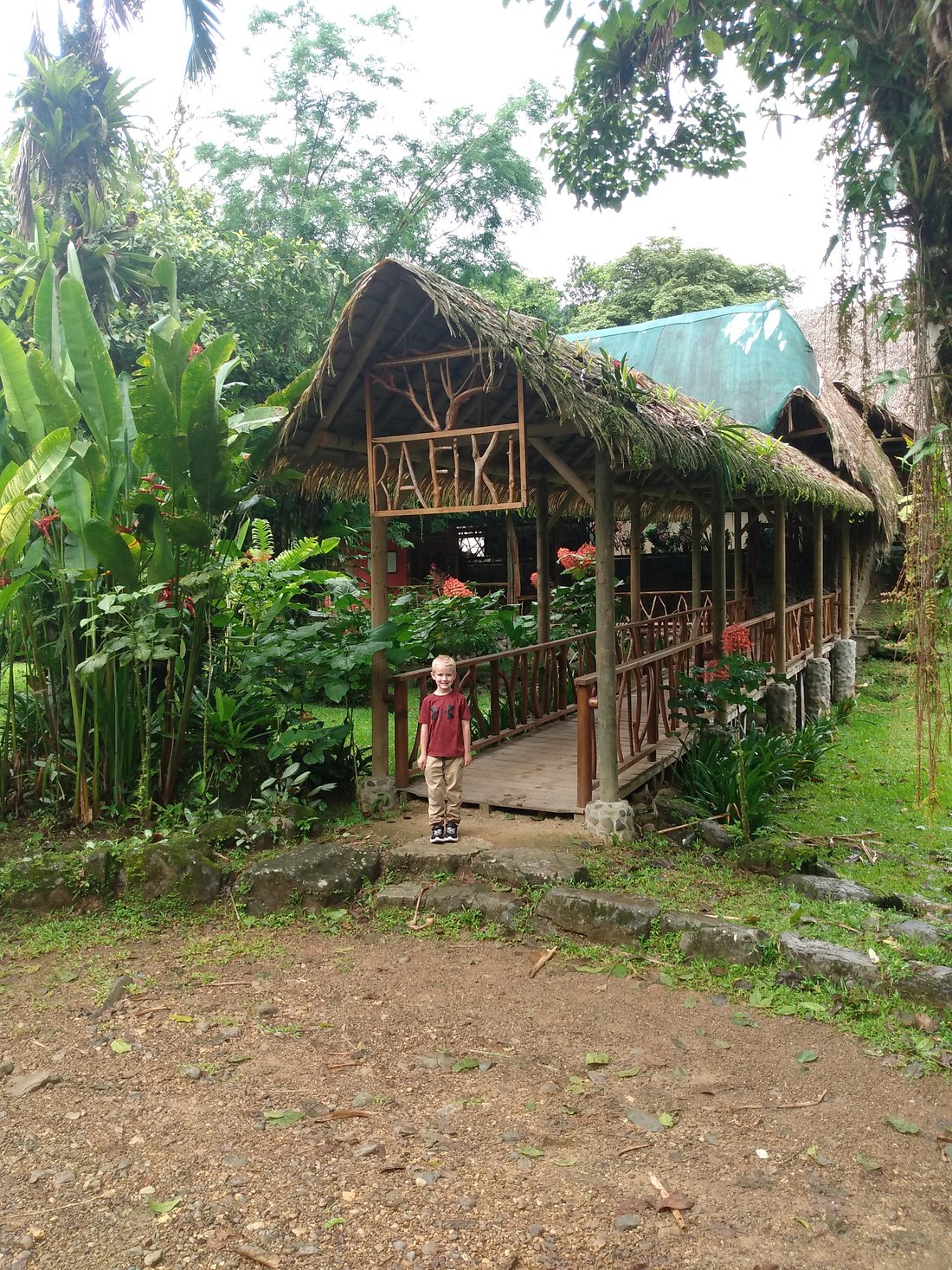 rafiki safari lodge costa rica reviews