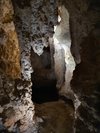 Naracoorte Caves National Park: All You Need to Know