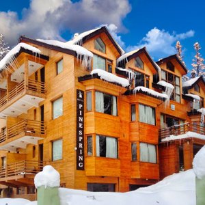 Hotel Pine Spring Gulmarg