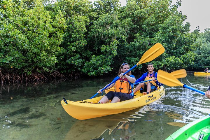 2024 Bio Bay Kayak Tour in Fajardo provided by Pure Adventure