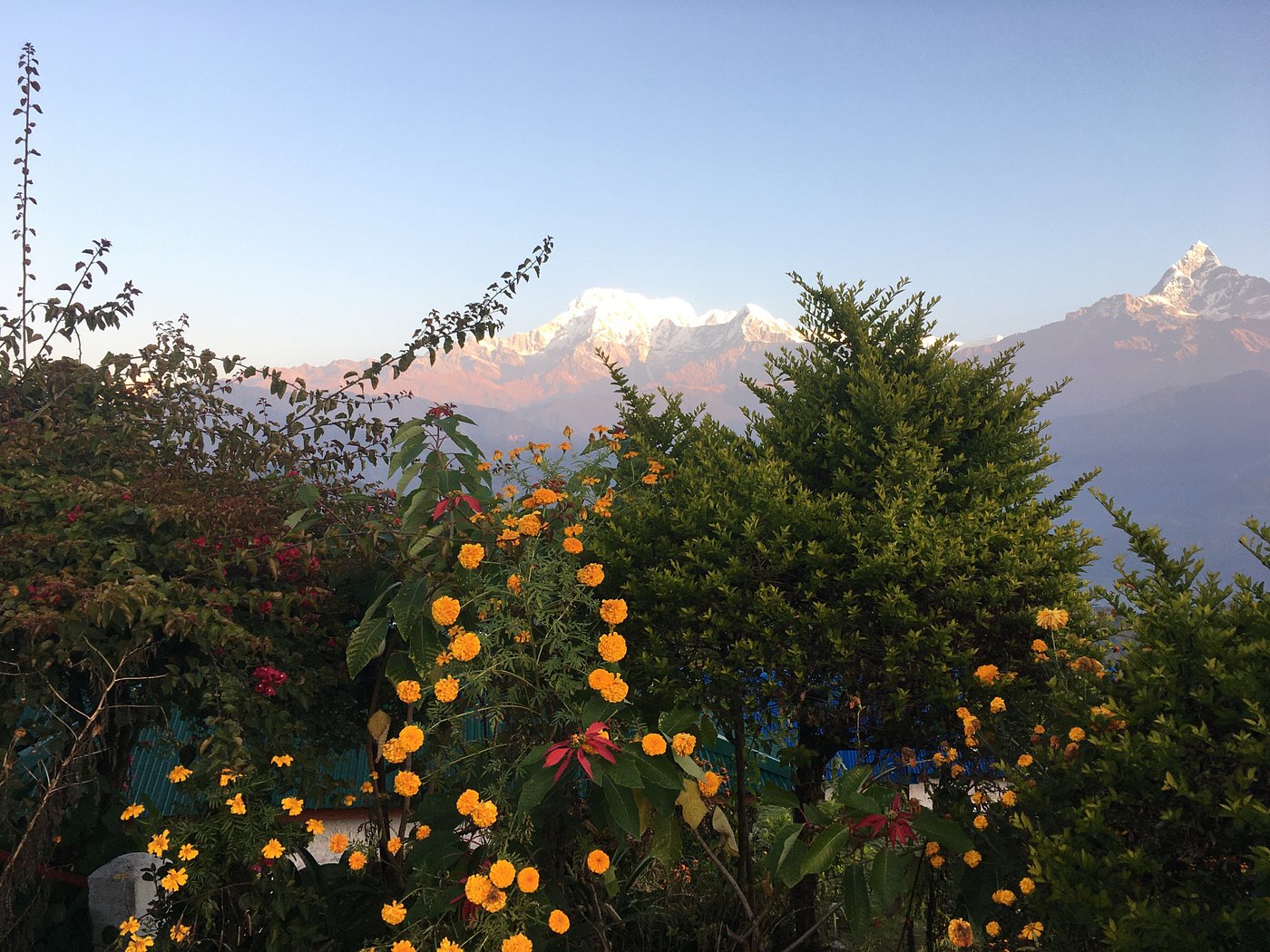 deurali travel and tours pokhara