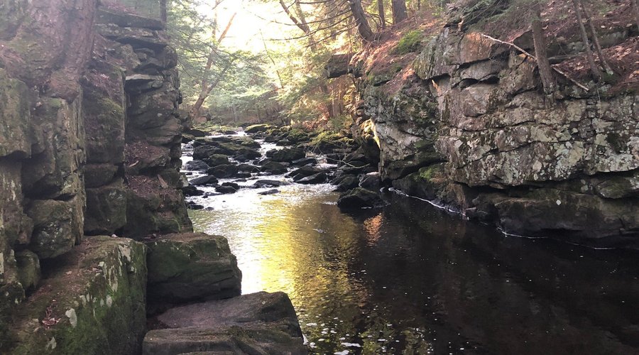 Cathance River Preserve (2025) - All You Need to Know BEFORE You Go (with Reviews)