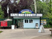 are dogs allowed at cape may zoo