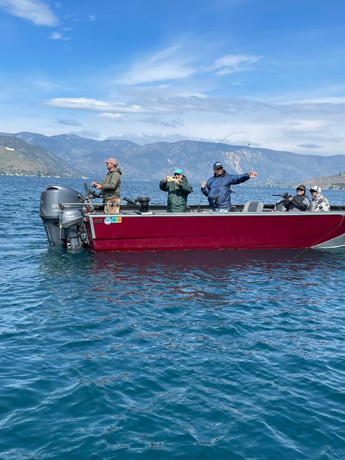Chelan review images