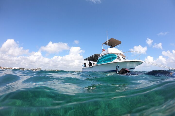 2024 Snorkel in the beautiful reef of Puerto Morelos with transport