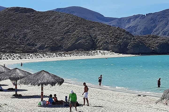 THE BEST Day Trips from Los Cabos to La Paz UPDATED 2024