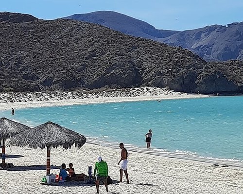 THE 10 BEST La Paz Tours & Activities for 2023 (with Prices)