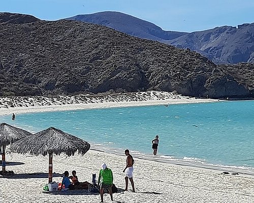 la paz bcs tours