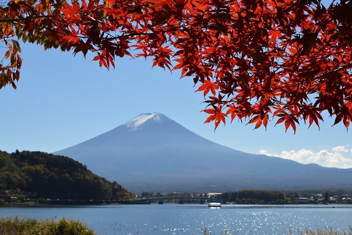 Mt. Fuji, Mt Fuji Panoramic Ropeway & Seasonal Fruits Picking