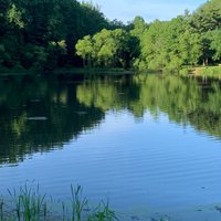 Wheaton Regional Park (Silver Spring) - All You Need to Know BEFORE You Go