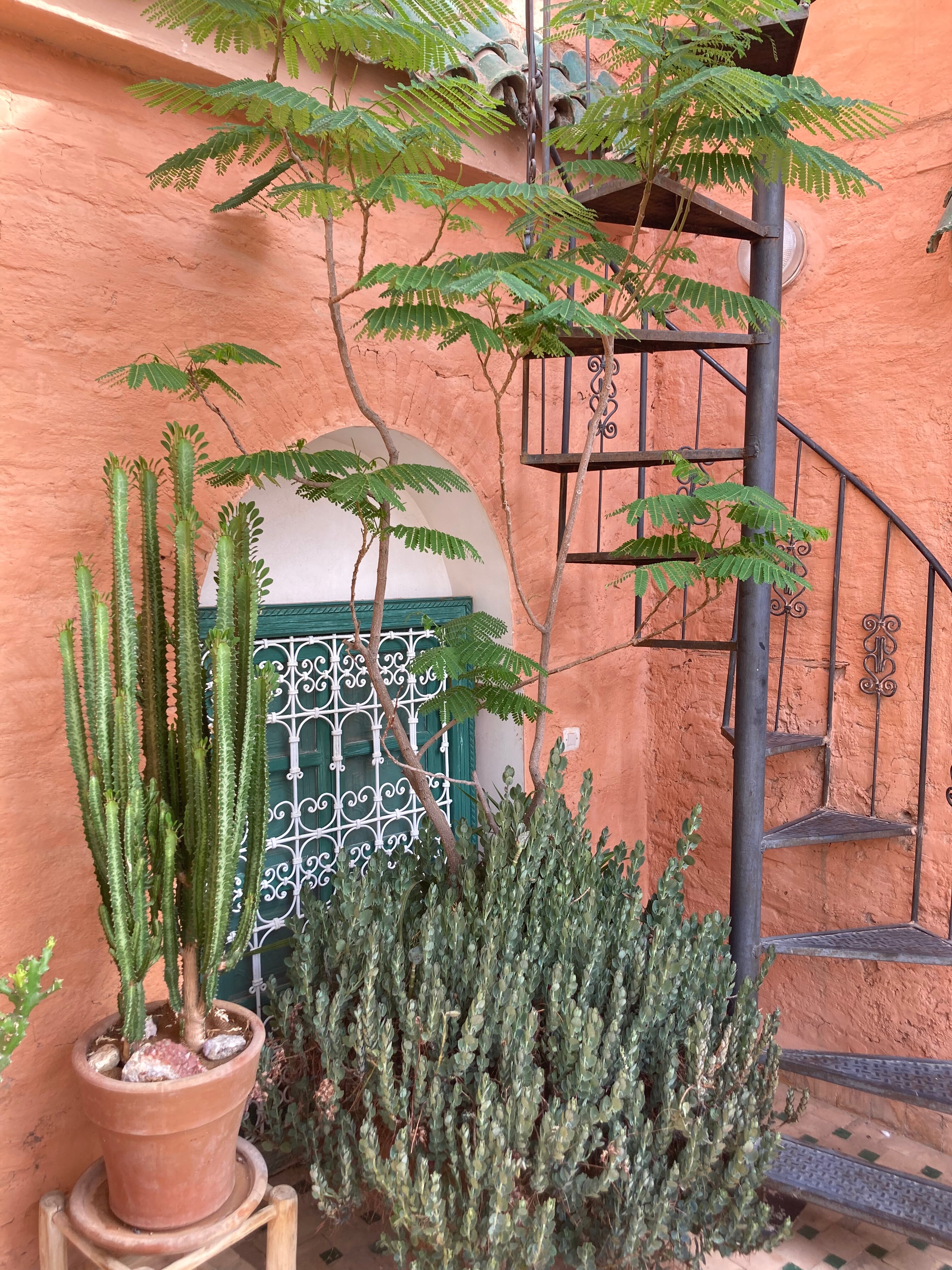 RIAD DAR KLETA - Updated 2024 Prices & B&B Reviews (Marrakech, Morocco)