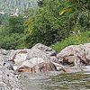 brinkno