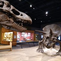 Cleveland Museum of Natural History - All You Need to Know BEFORE You ...