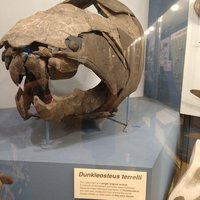 Cleveland Museum of Natural History - All You Need to Know BEFORE You ...