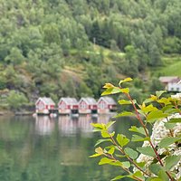 Guided Tour To Nærøyfjorden, Flåm And Stegastein - Viewpoint Cruise