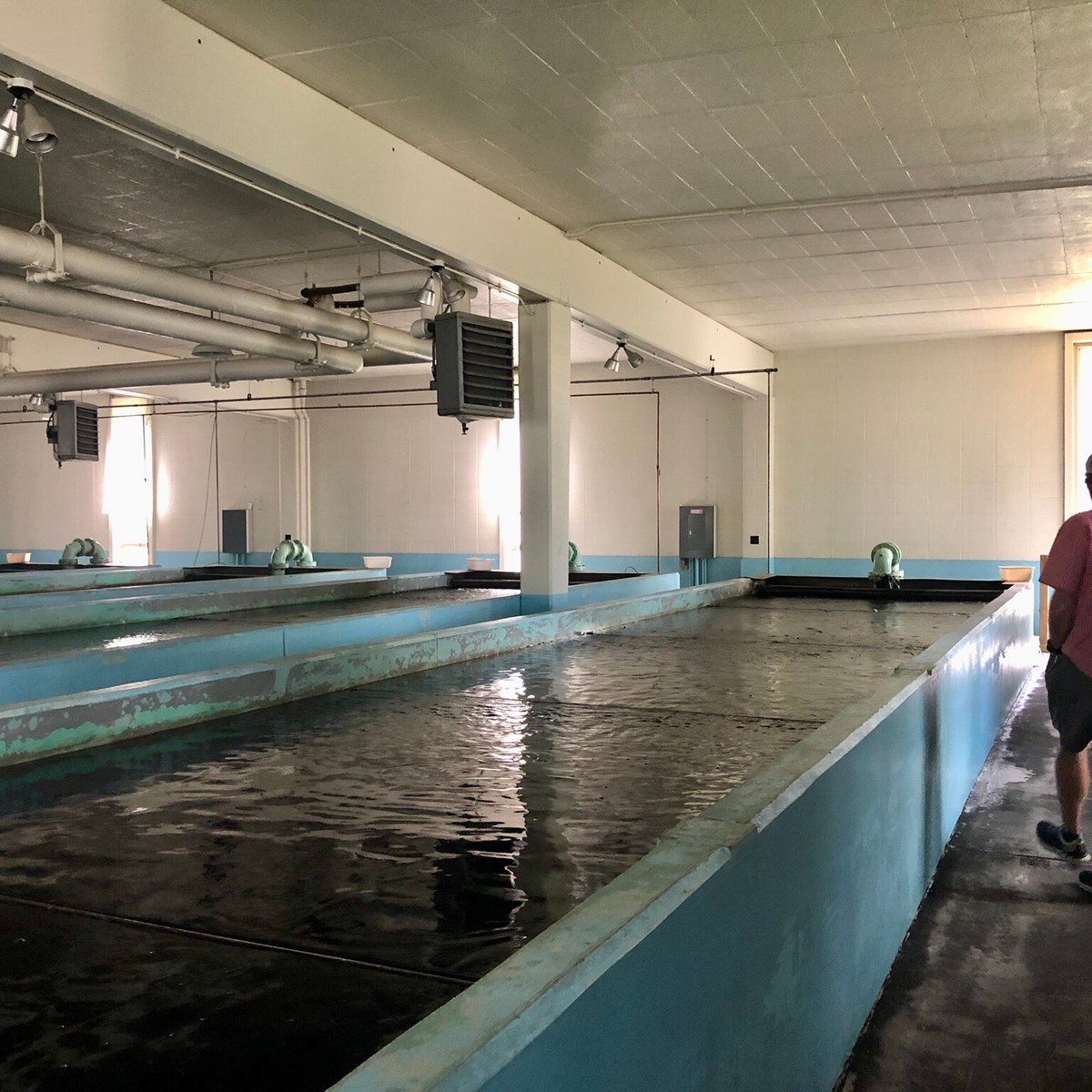 Platte River State Fish Hatchery (Beulah) - All You Need to Know BEFORE ...