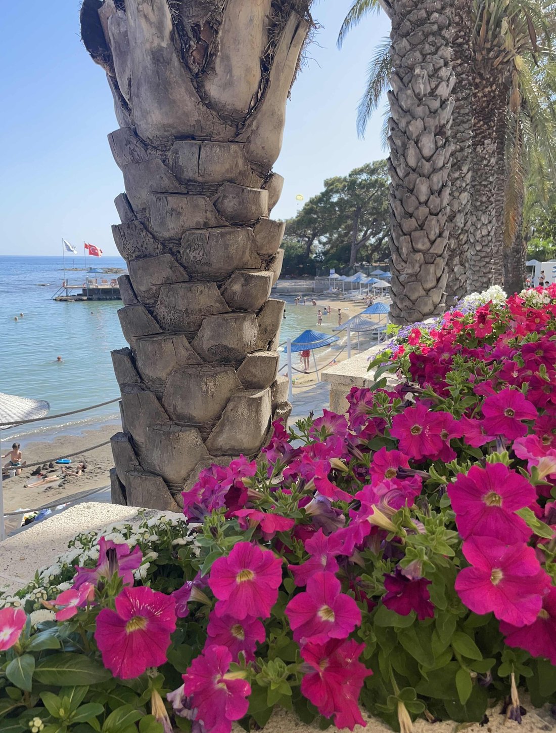 Utopia residence отзывы. Утопия Резорт Резиденс. Utopia Beach Club 5 Авсаллар. Utopia Resort & Residence 5 ***** (Авсаллар). Утопия Резиденс Турция Аланья.