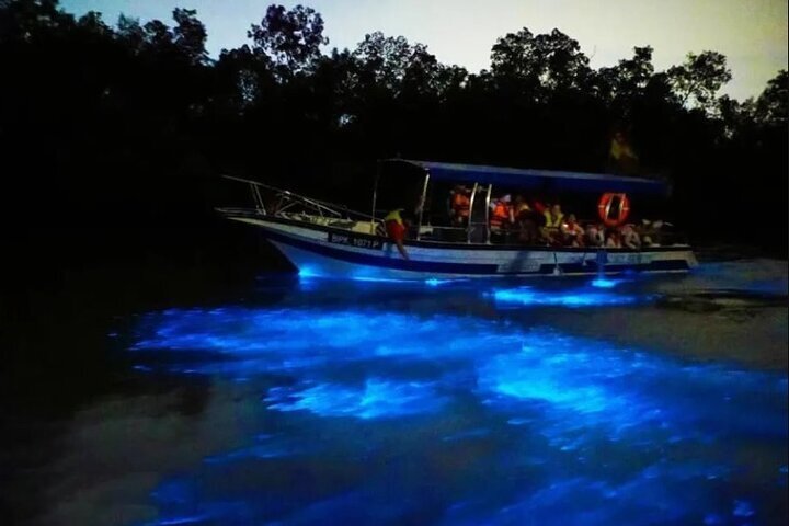 2024 Amazing Fireflies With Blue Tears Watching & Kuala Selangor Tour