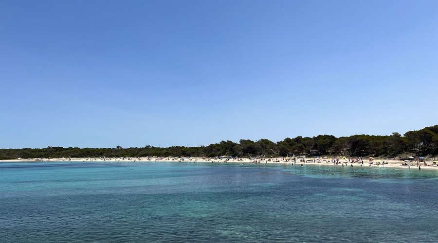 Plage es Moli ou s’Estany à proximité de l'Hôtel Marques (Colonia Sant Jordi - Majorque)