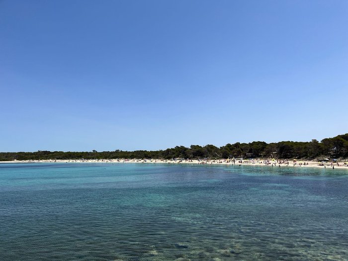 Imagen 2 de Playa dels Estanys