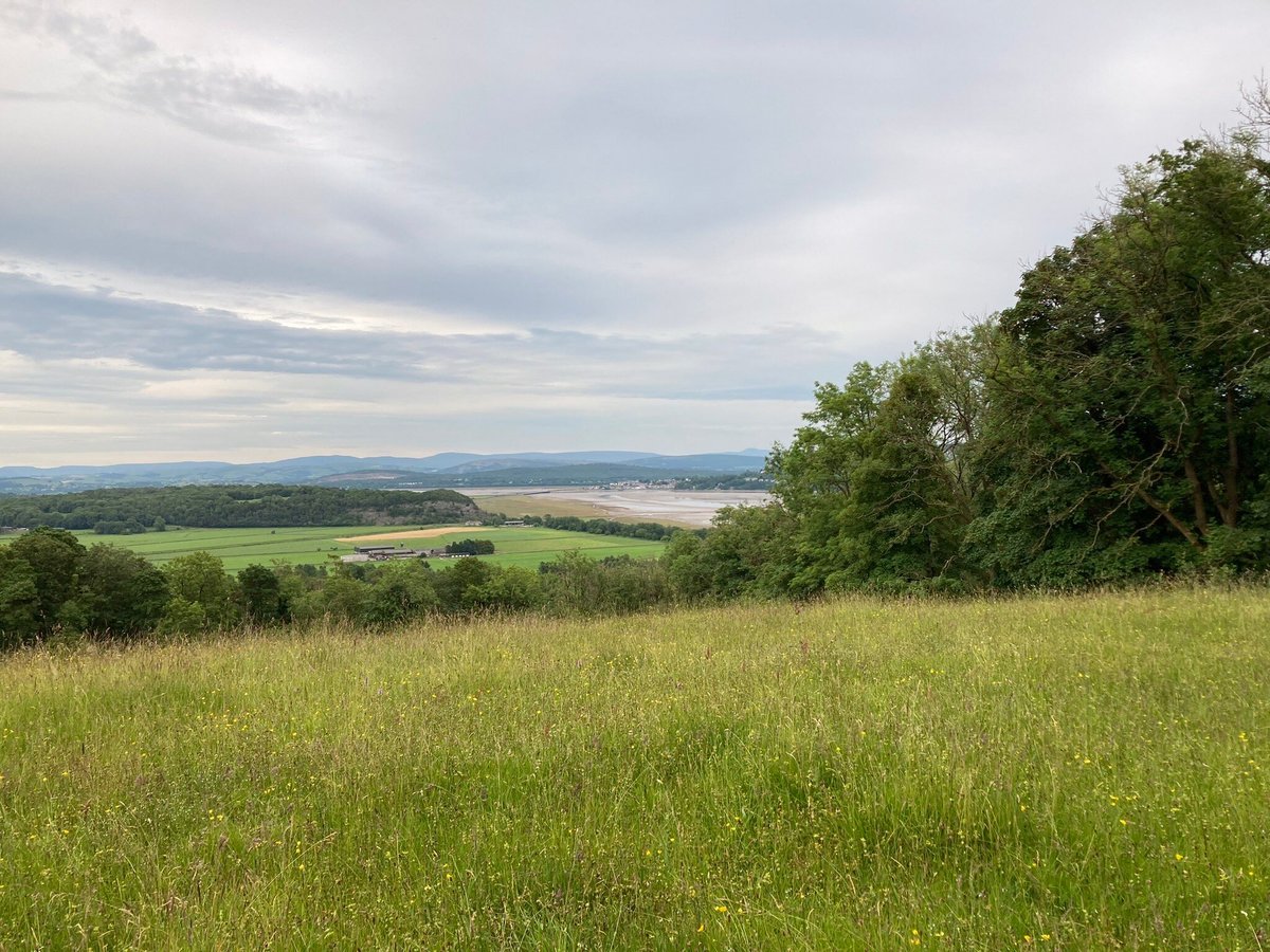 CUMBRIA WILDLIFE TRUST (Kendal) - All You Need to Know BEFORE You Go