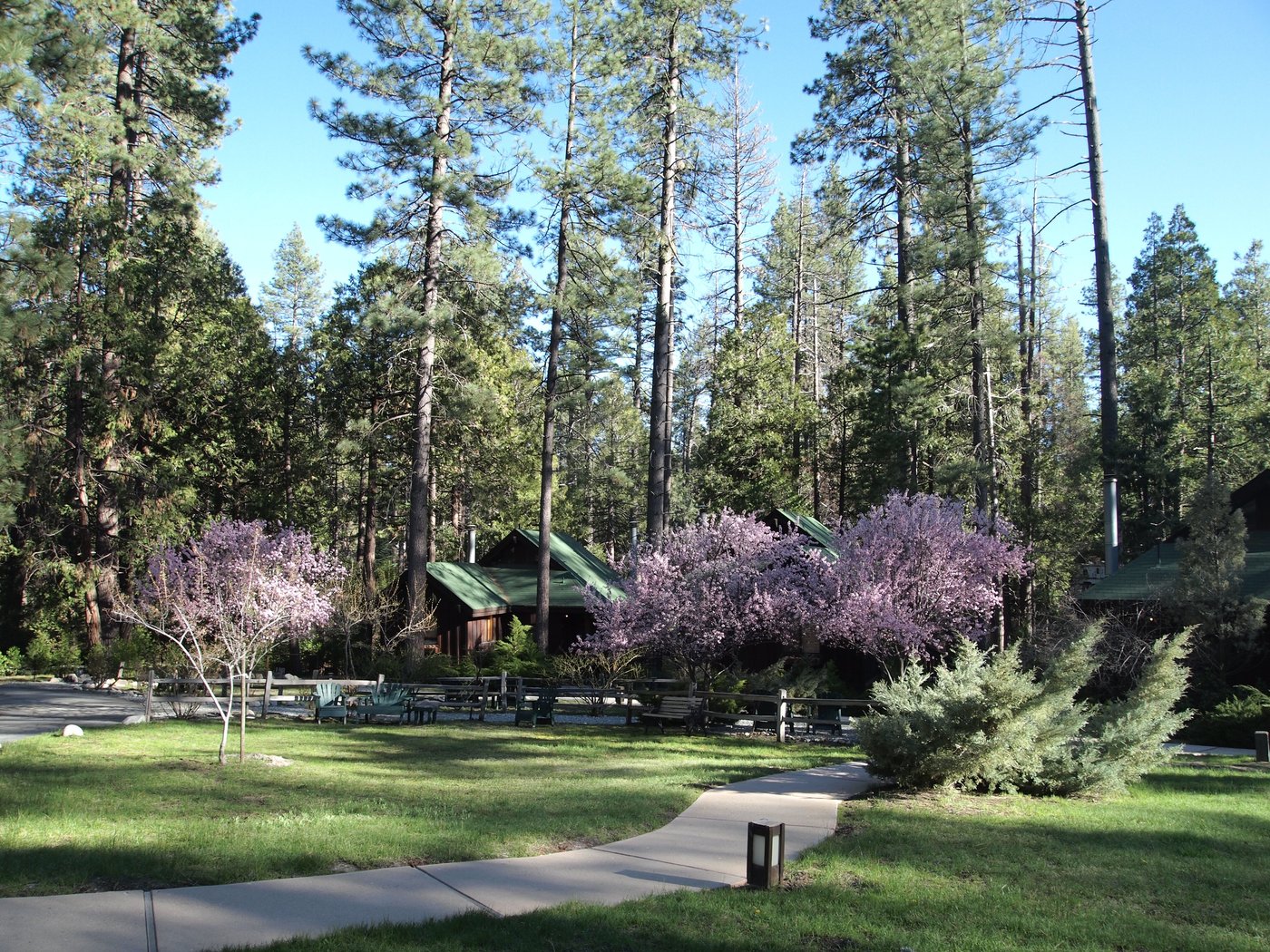 Quiet Creek Inn Idyllwild Ca