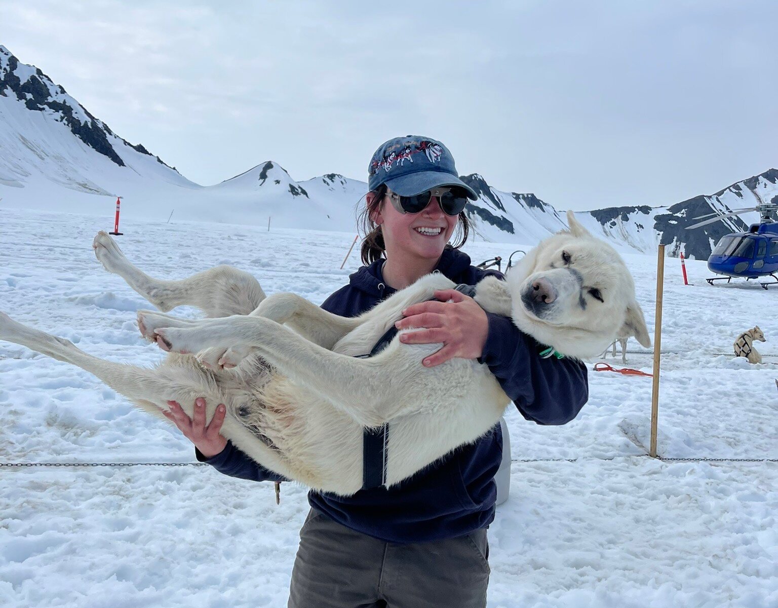 DALLAS SEAVEY KENNELS (Talkeetna): Ce qu'il faut savoir