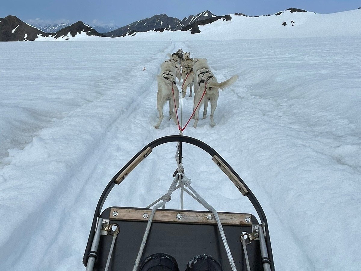 DALLAS SEAVEY KENNELS (Talkeetna): Ce qu'il faut savoir