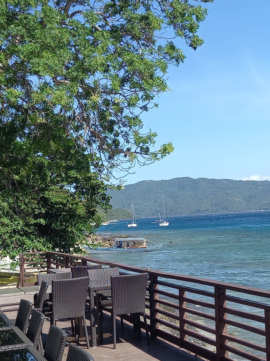 ALTAMARE DIVE & LEISURE RESORT ANILAO $97 ($̶1̶0̶9̶) - Updated 2022 ...