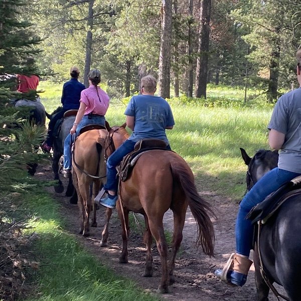 Yellowstone Horses - Eagle Ridge Ranch - All You Need To Know Before 