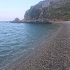 mavisever
