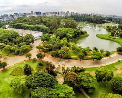 São Paulo City: 5-Hour Private Tour