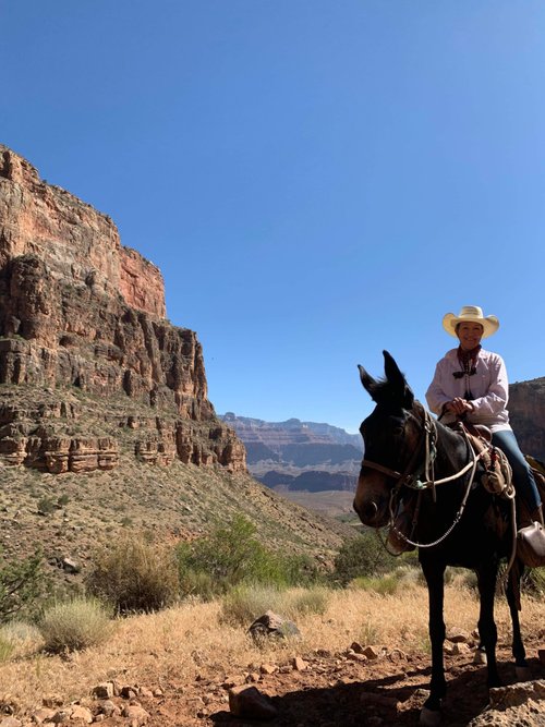 PHANTOM RANCH - Updated 2022 Prices & Reviews (Grand Canyon National ...