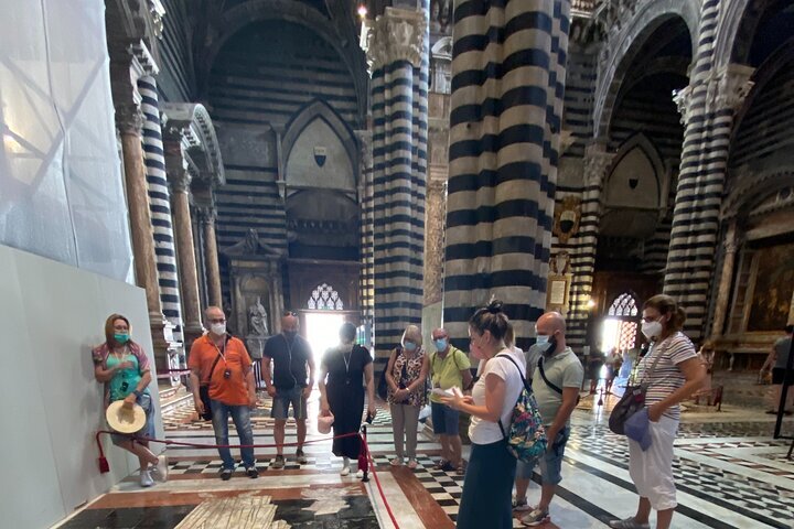 THE 5 BEST Arezzo Walking Tours Updated 2024 Tripadvisor