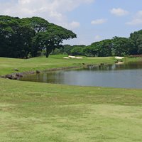 Mimosa Plus Golf Course - All You Need to Know BEFORE You Go (2024)