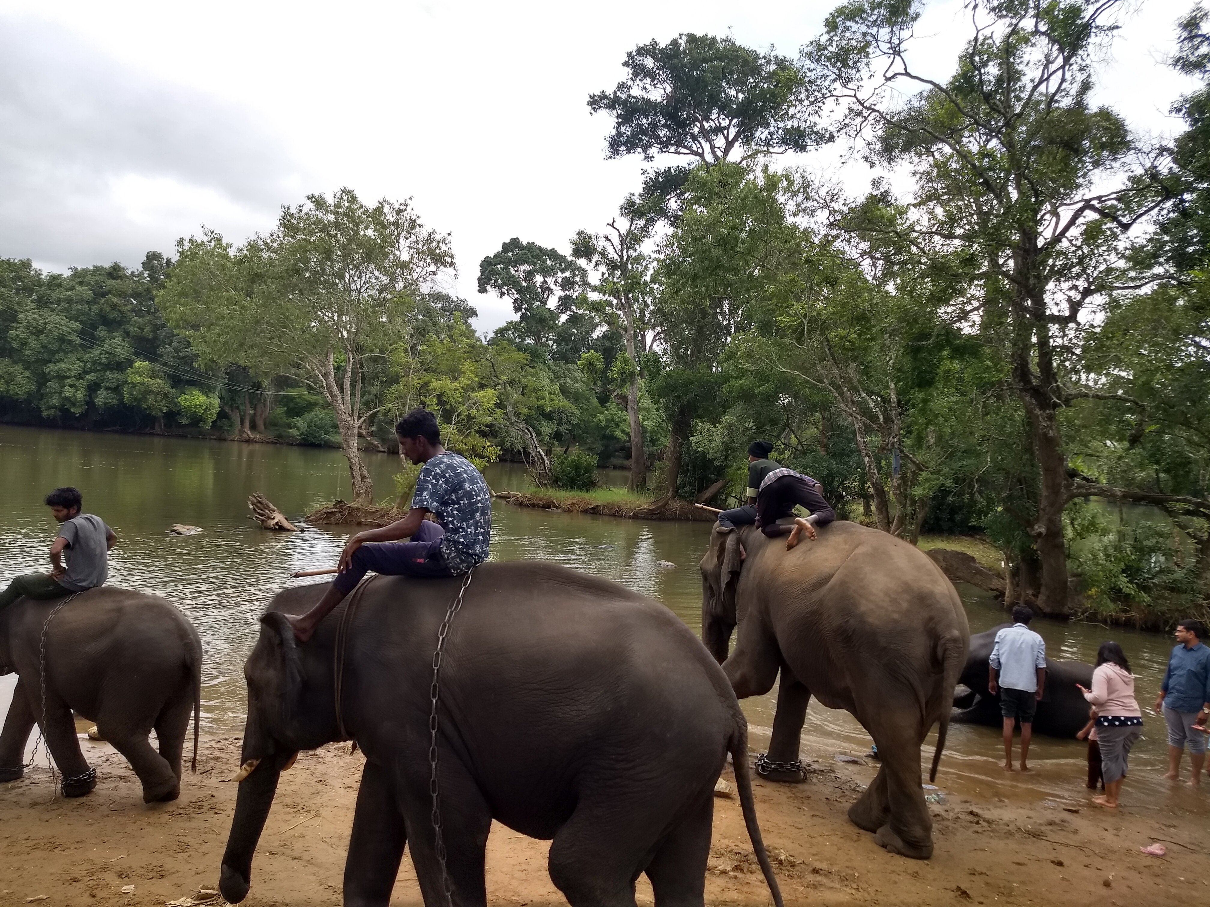 Dubare Elephant Camp (Mysuru (Mysore)) - 2022 What To Know Before You ...