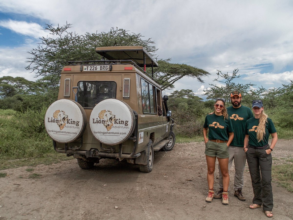 Lion King Adventures Tanzania Luxury Safari