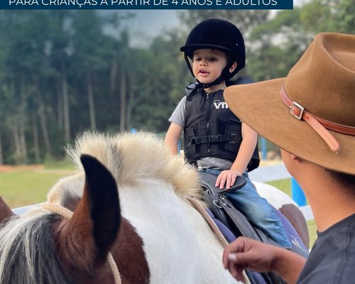 📍 CAVALO DE TROIA E O CARNAVAL; - Mairiporã População