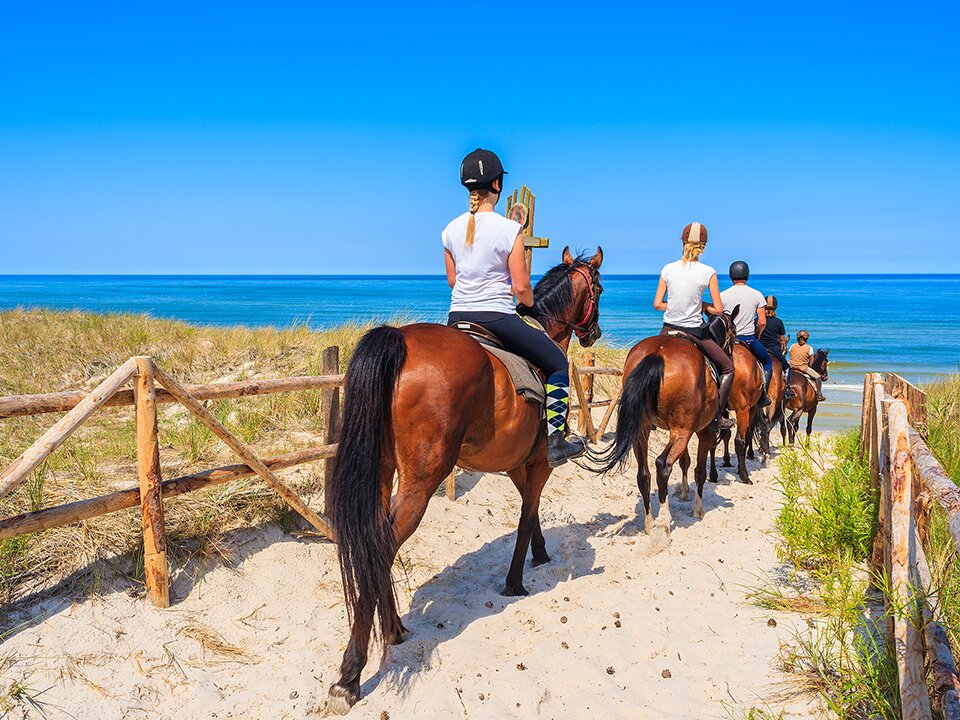 イタリアの乗馬ツアー: イタリアの 10 件の乗馬ツアーをチェックする