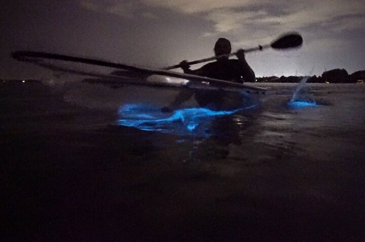 2024 (Titusville) Clear Kayak Bioluminescence Tour