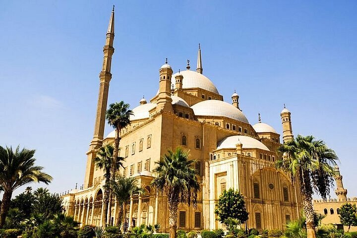 cairo sightseeing bus tours