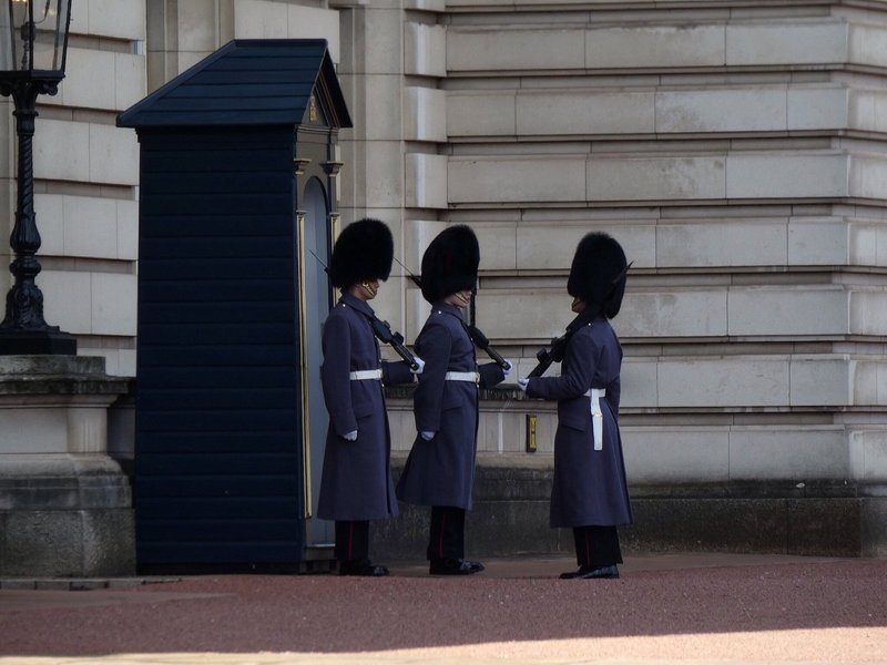 buckingham palace changing of the guards