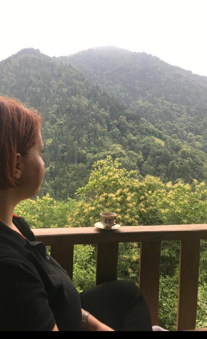 en yeni dns ayarları keçe yönetmen